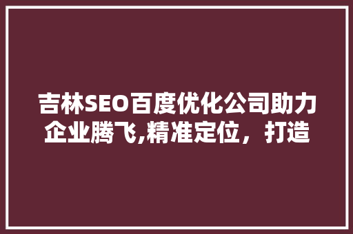 吉林SEO百度优化公司助力企业腾飞,精准定位，打造互联网新优势
