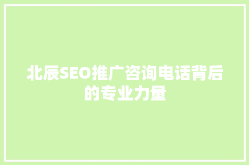 北辰SEO推广咨询电话背后的专业力量