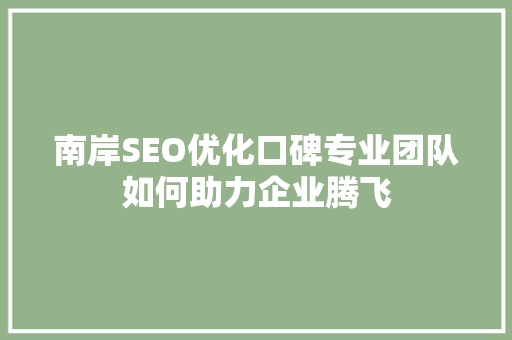南岸SEO优化口碑专业团队如何助力企业腾飞
