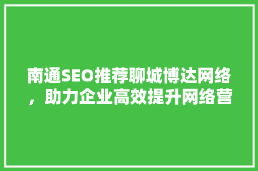 南通SEO推荐聊城博达网络，助力企业高效提升网络营销效果