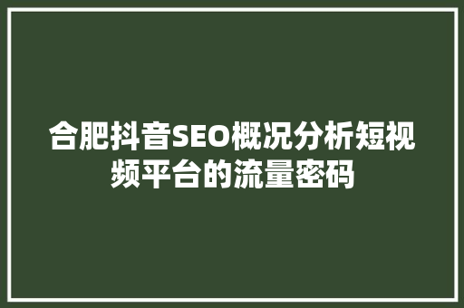 合肥抖音SEO概况分析短视频平台的流量密码