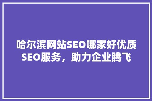 哈尔滨网站SEO哪家好优质SEO服务，助力企业腾飞