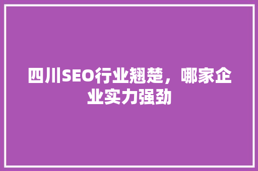 四川SEO行业翘楚，哪家企业实力强劲