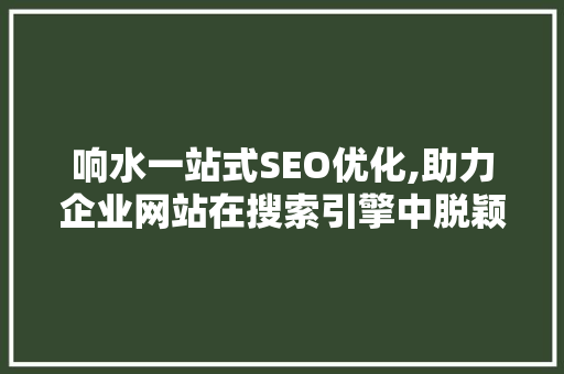 响水一站式SEO优化,助力企业网站在搜索引擎中脱颖而出  第1张