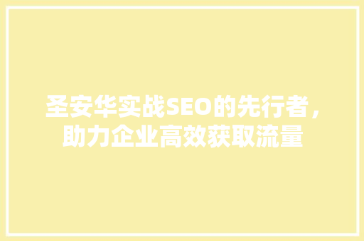 圣安华实战SEO的先行者，助力企业高效获取流量