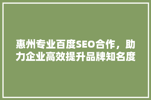 惠州专业百度SEO合作，助力企业高效提升品牌知名度  第1张