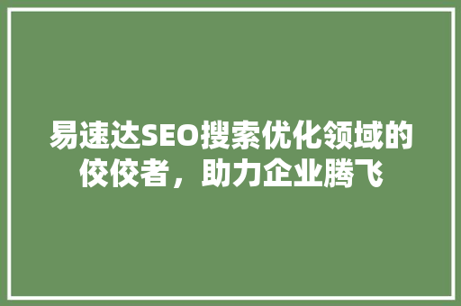 易速达SEO搜索优化领域的佼佼者，助力企业腾飞