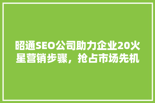 昭通SEO公司助力企业20火星营销步骤，抢占市场先机