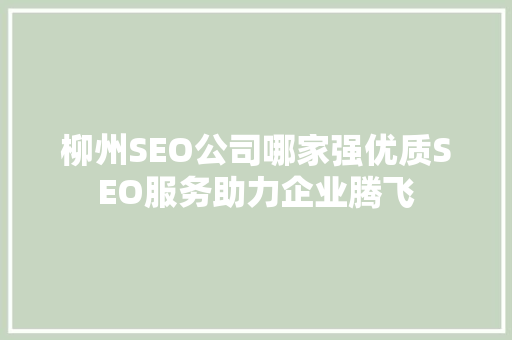 柳州SEO公司哪家强优质SEO服务助力企业腾飞