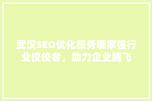 武汉SEO优化服务哪家强行业佼佼者，助力企业腾飞