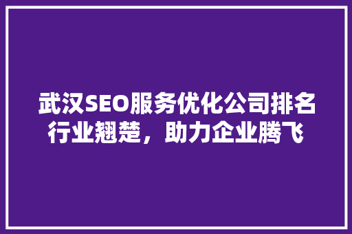 武汉SEO服务优化公司排名行业翘楚，助力企业腾飞