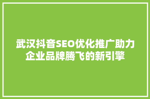 武汉抖音SEO优化推广助力企业品牌腾飞的新引擎