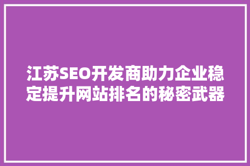 江苏SEO开发商助力企业稳定提升网站排名的秘密武器