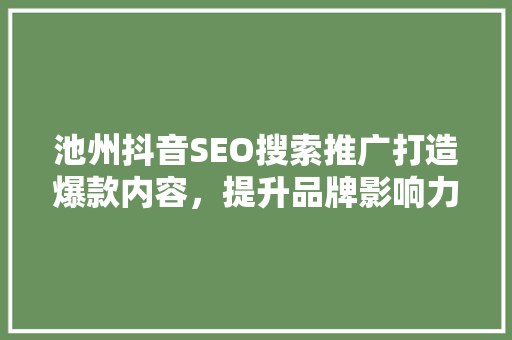 池州抖音SEO搜索推广打造爆款内容，提升品牌影响力