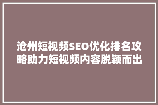 沧州短视频SEO优化排名攻略助力短视频内容脱颖而出