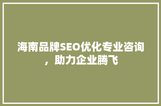 海南品牌SEO优化专业咨询，助力企业腾飞