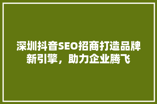 深圳抖音SEO招商打造品牌新引擎，助力企业腾飞