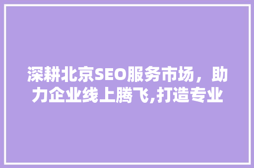 深耕北京SEO服务市场，助力企业线上腾飞,打造专业推广平台攻略