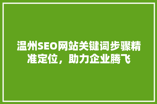 温州SEO网站关键词步骤精准定位，助力企业腾飞