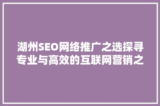 湖州SEO网络推广之选探寻专业与高效的互联网营销之路