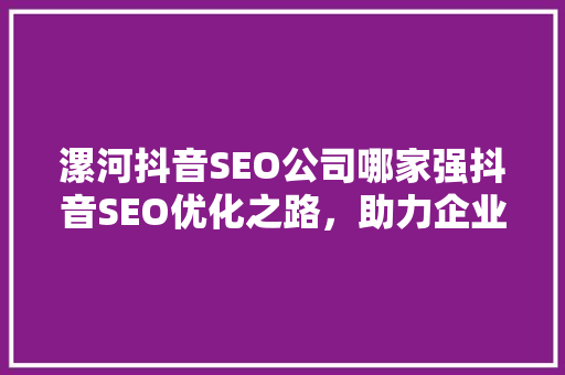 漯河抖音SEO公司哪家强抖音SEO优化之路，助力企业腾飞
