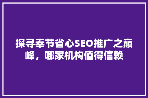 探寻奉节省心SEO推广之巅峰，哪家机构值得信赖