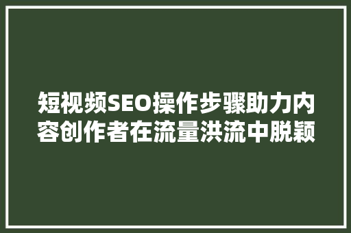 短视频SEO操作步骤助力内容创作者在流量洪流中脱颖而出