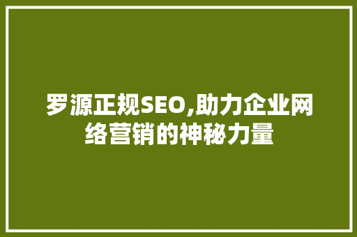 罗源正规SEO,助力企业网络营销的神秘力量