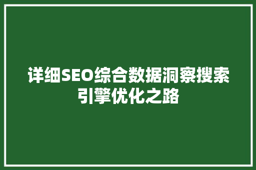 详细SEO综合数据洞察搜索引擎优化之路