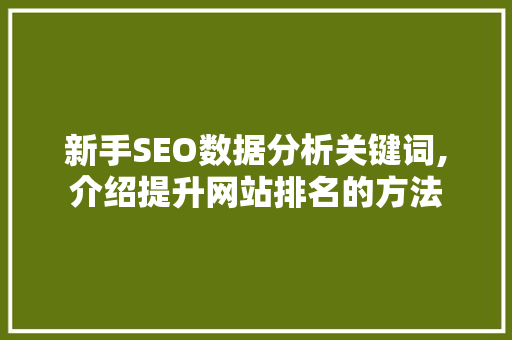 新手SEO数据分析关键词,介绍提升网站排名的方法