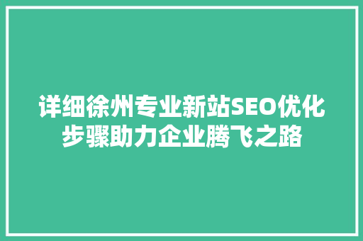 详细徐州专业新站SEO优化步骤助力企业腾飞之路