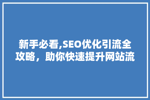 新手必看,SEO优化引流全攻略，助你快速提升网站流量