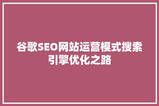 谷歌SEO网站运营模式搜索引擎优化之路  第1张