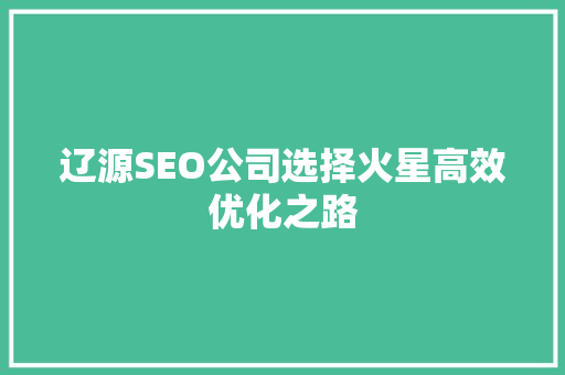 辽源SEO公司选择火星高效优化之路