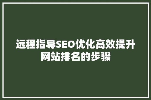 远程指导SEO优化高效提升网站排名的步骤