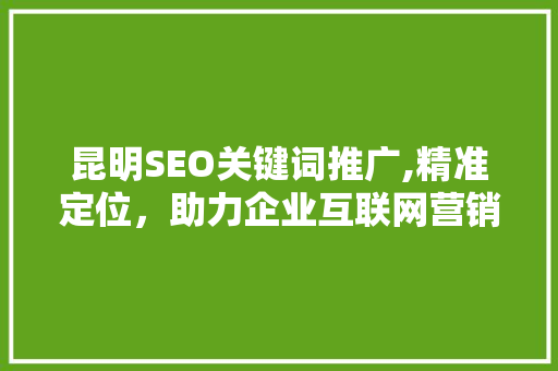 昆明SEO关键词推广,精准定位，助力企业互联网营销
