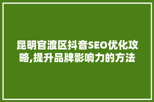 昆明官渡区抖音SEO优化攻略,提升品牌影响力的方法