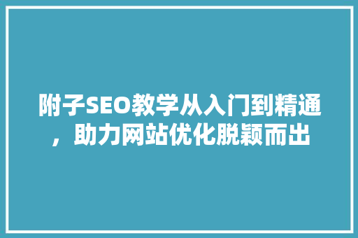 附子SEO教学从入门到精通，助力网站优化脱颖而出