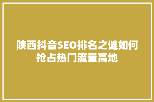 陕西抖音SEO排名之谜如何抢占热门流量高地