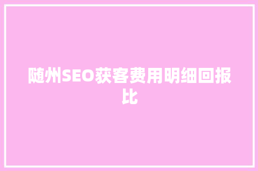 随州SEO获客费用明细回报比