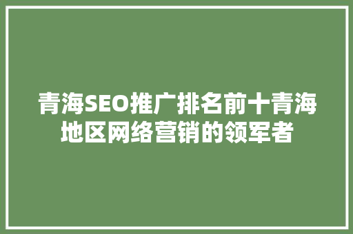 青海SEO推广排名前十青海地区网络营销的领军者