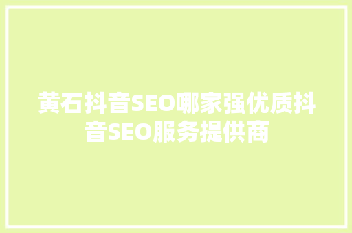 黄石抖音SEO哪家强优质抖音SEO服务提供商