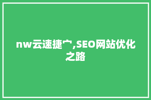 nw云速捷宀,SEO网站优化之路