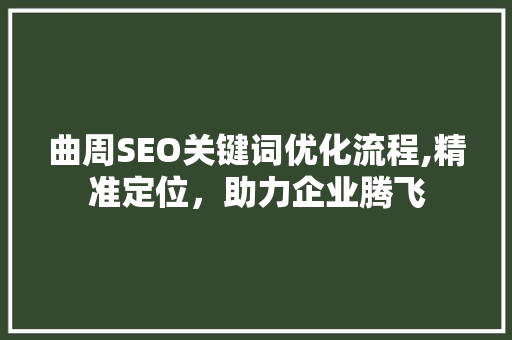 曲周SEO关键词优化流程,精准定位，助力企业腾飞