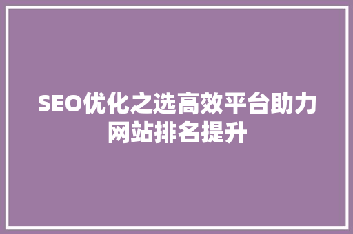 SEO优化之选高效平台助力网站排名提升