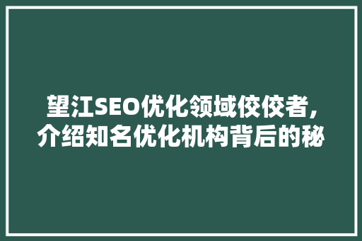 望江SEO优化领域佼佼者,介绍知名优化机构背后的秘密