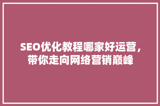 SEO优化教程哪家好运营，带你走向网络营销巅峰