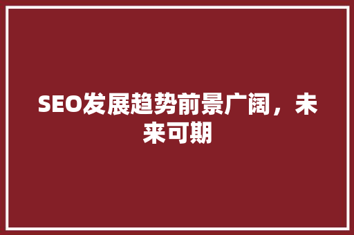 SEO发展趋势前景广阔，未来可期