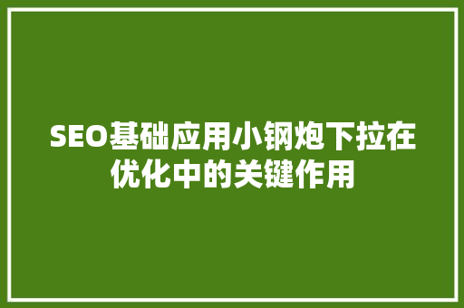 SEO基础应用小钢炮下拉在优化中的关键作用