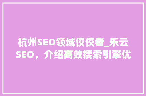 杭州SEO领域佼佼者_乐云SEO，介绍高效搜索引擎优化之路  第1张